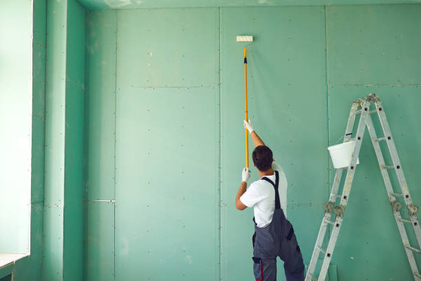 Best Industrial Mold Remediation  in Holgate, OH