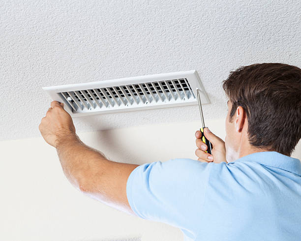 Professional Mold Removal in Holgate, OH