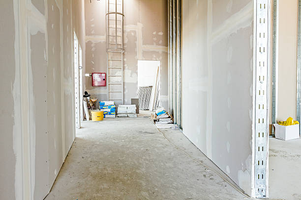 Best Industrial Mold Remediation  in Holgate, OH