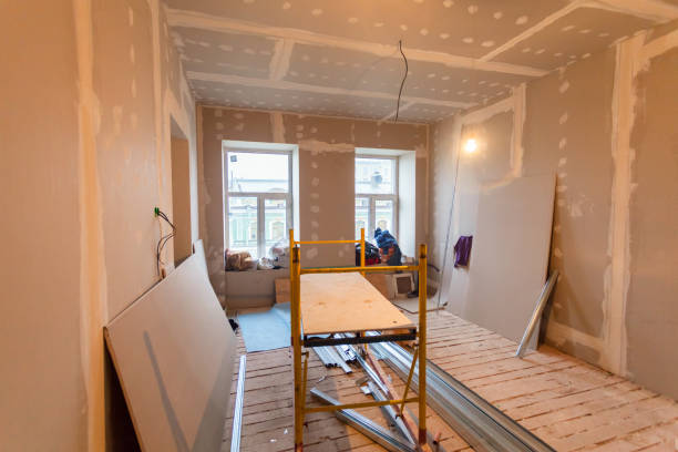 Best Mold Damage Restoration  in Holgate, OH