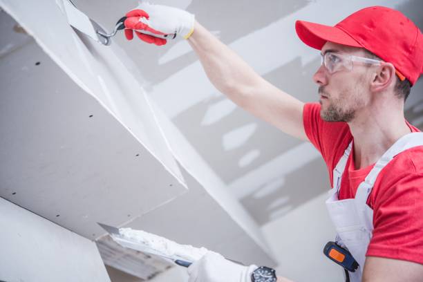 Best Dehumidification Services  in Holgate, OH